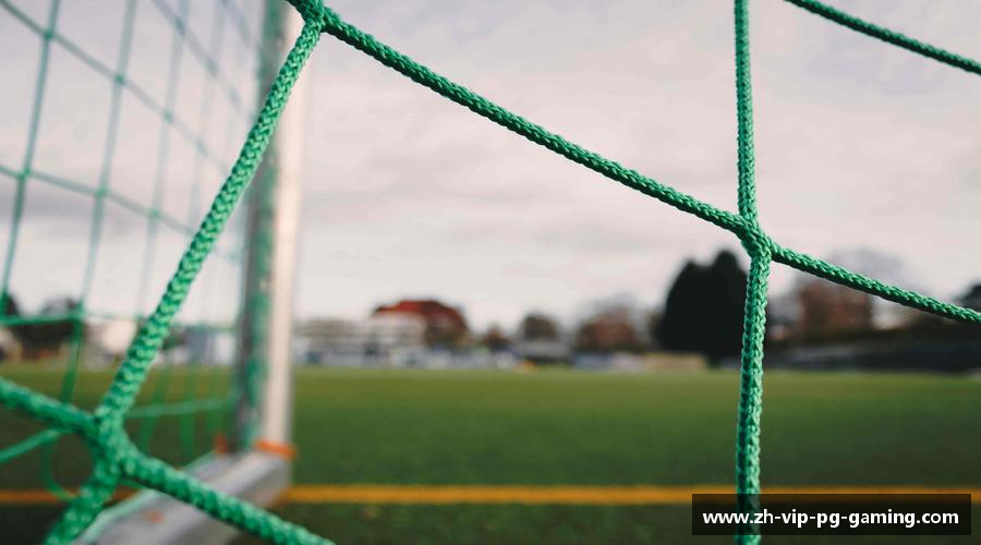 坚持拼搏，收获梦想。